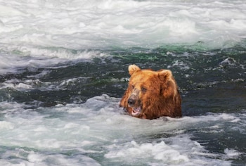 La presencia de lagos junto