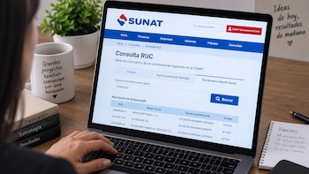 ¿Cómo saber si una persona tiene RUC en Perú? Consulta por DNI, nombres o razón social en Sunat