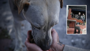 Se conoció video del ataque contra un hombre que habría maltratado a un perro en Cundinamarca: el supuesto agresor resultó muerto