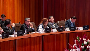 También se pidió a los