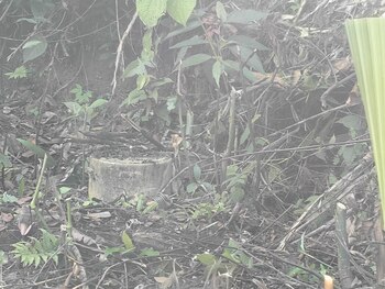 De acuerdo con las autoridades,