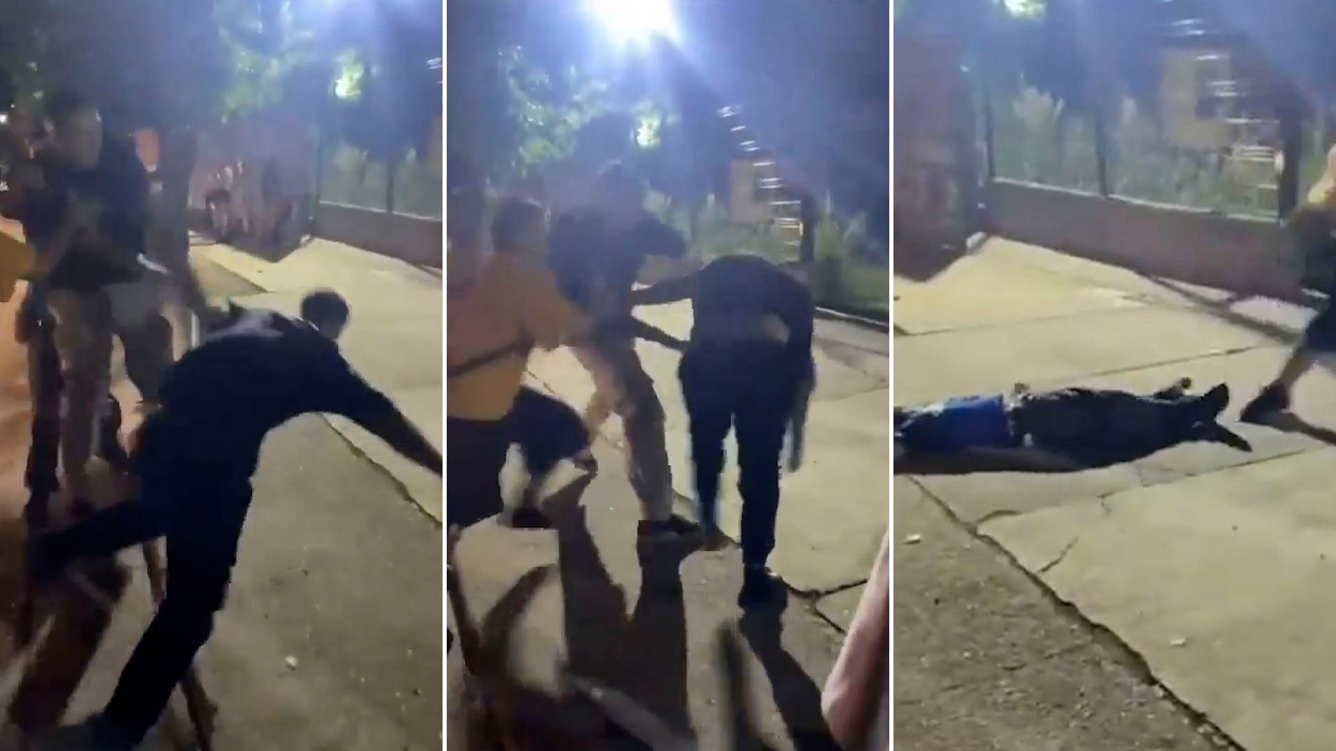 Agustín sufrió lesiones en el maxilar y en un ojo (Captura de video)