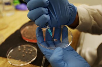 La medicina está avanzando sobre