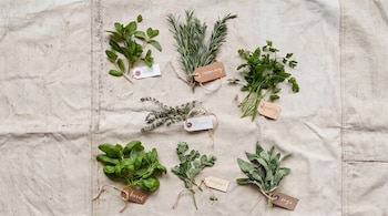 Siete manojos de hierbas frescas: menta, romero, perejil, tomillo, albahaca, orégano y salvia, con etiquetas de nombre, sobre tela beige.