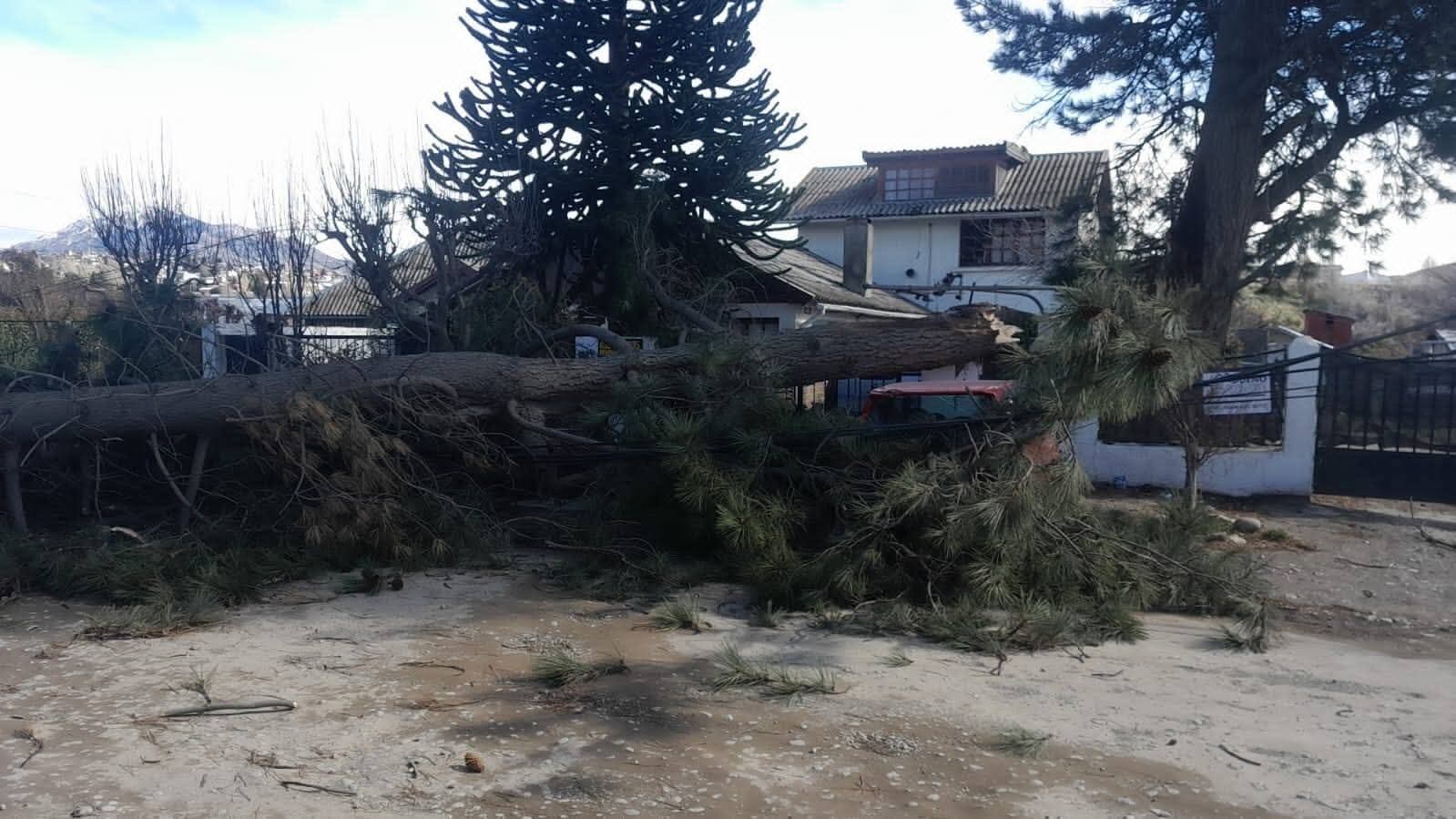 Protección Civil y Bomberos realizaron tareas de emergencia ante múltiples incidentes reportados