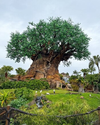 El árbol de la vida,