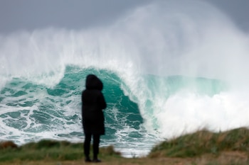 Una persona mira el gran