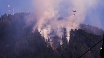 Supuestas dilaciones en asignación de