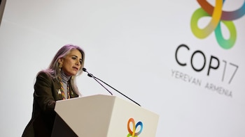 CAF reclama cerrar la brecha de financiación de la biodiversidad y reforzar la adaptación climática en América Latina