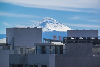 (FOTO: JUAN PABLO ZAMORA/CUARTOSCURO)