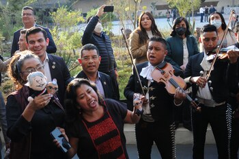 Diputados de Morena le llevaron