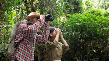 El Día Mundial de los