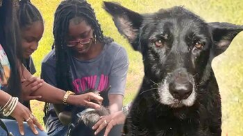 Tras seis años desaparecida, una