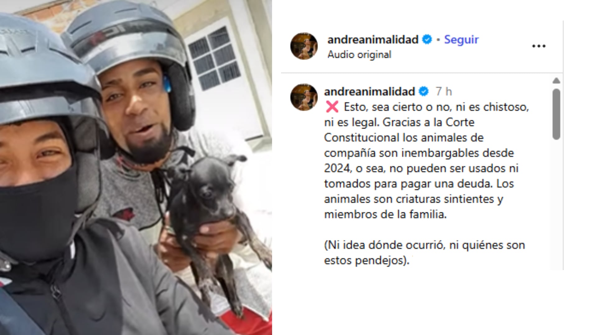 Andrea Padilla cuestionó este tipo de prácticas y reiteró que los animales son inembargables - crédito captura de pantalla @andreanimalidad/Instagram