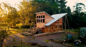 El eucalipto es la base