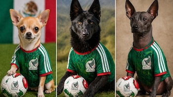 ¡Ahora tu perro también irá al Mundial 2026! Lanzan jerseys inspirados en selecciones