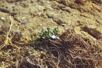 Investigadores de la Universidad de