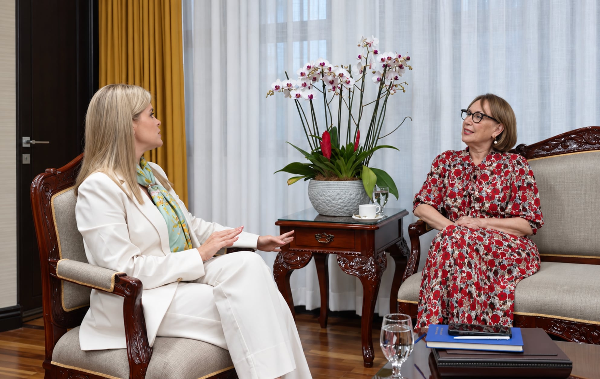 Laura Fernández manifestó su orgullo por la candidatura de Rebeca Grynspan para ocupar la Secretaría General de las Naciones Unidas. Crédito: Captura video Presidencia de la República