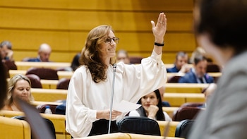 Mónica García llama "malditos" a