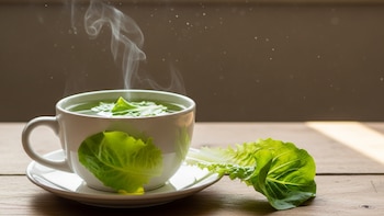 Té de lechuga: la infusión natural que podría mejorar el sueño, desinflamar el cuerpo y favorecer el bienestar general