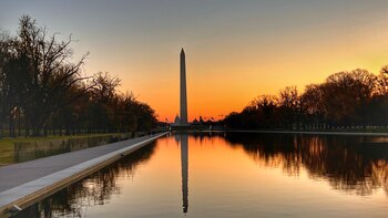 Una vista majestuosa: Contemplando el