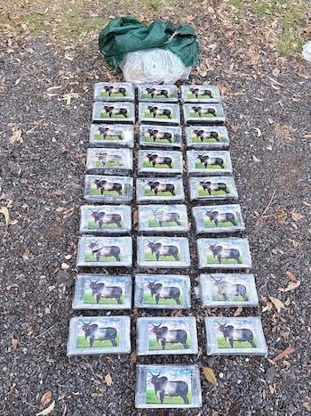 La cocaína hallada en Santa