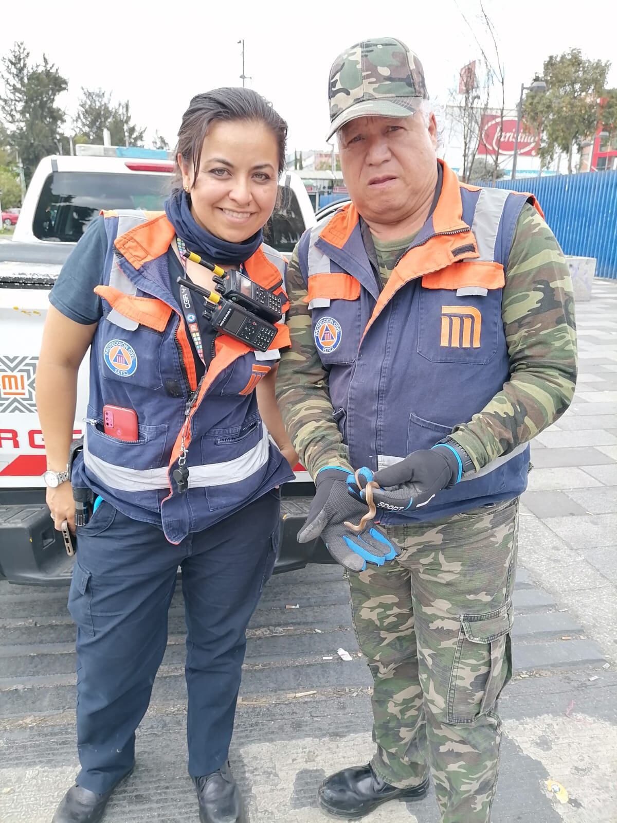Personal del Metro capitalino resguardó al animal. Foto: X/@MetroCDMX.
