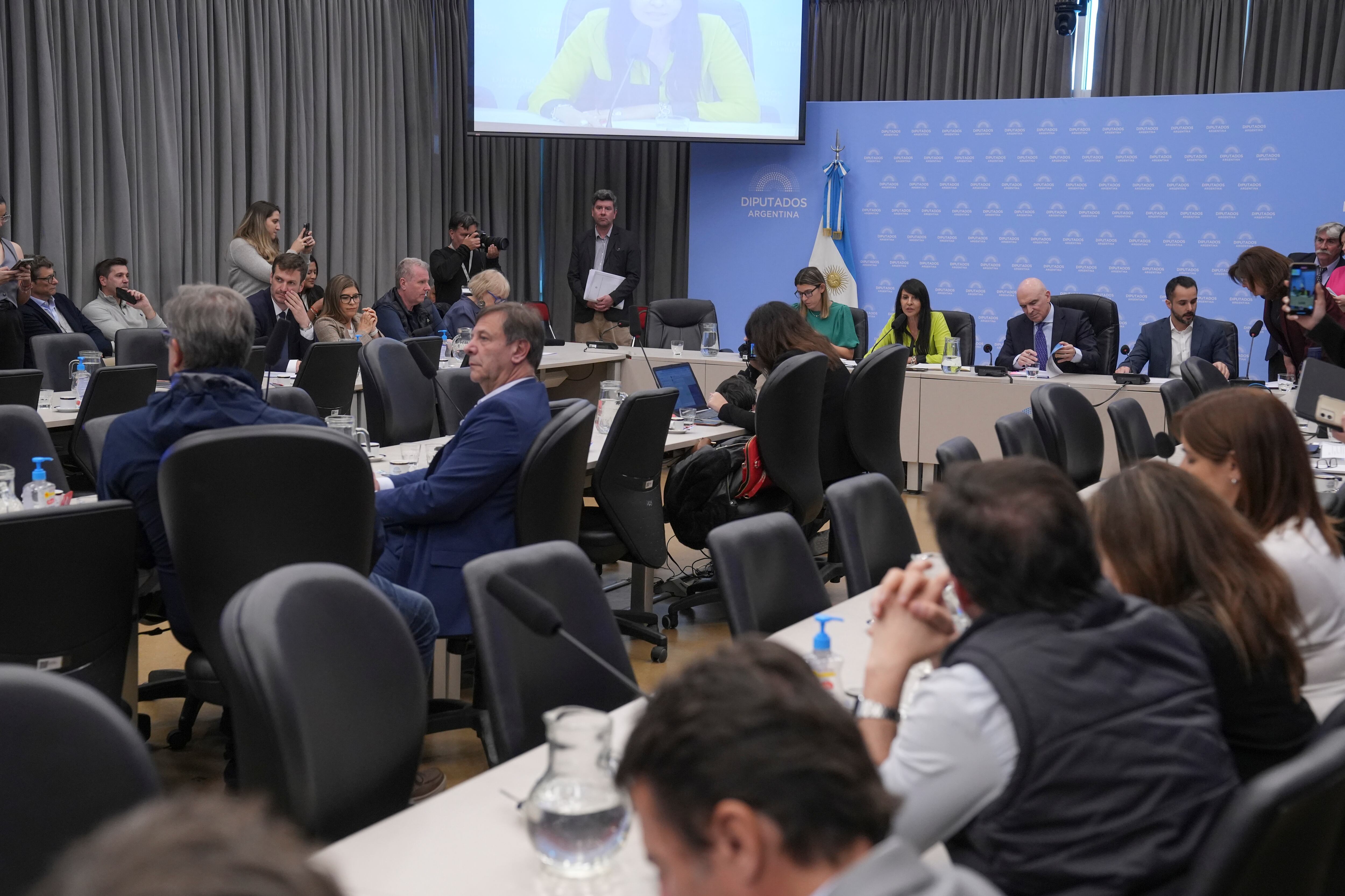 La iniciativa recibió apoyo de La Libertad Avanza, el PRO, la UCR y otros bloques, pero fue rechazada por Unión por la Patria y la izquierda