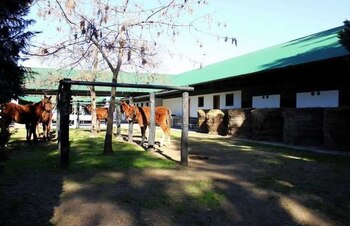 Los caballos son protagonistas excluyentes