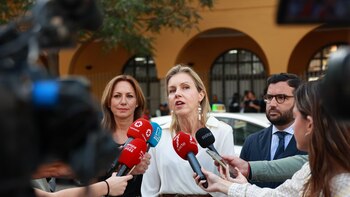 Vox: Los andaluces tendrán elegir entre "regularizaciones masivas" o un gobierno que diga que "no cabe ni uno más"