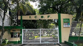 El requerimiento al Instituto Colombiano de Bienestar Familiar incluyó una mejor articulación con hospitales, comisarías, personerías, Policía y Fiscalía - crédito Icbf