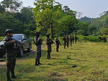Fila de siete soldados con uniformes de camuflaje y cascos, armados con fusiles, en un campo verde. Un vehículo tipo pickup gris y frondosa vegetación selvática se ven al fondo