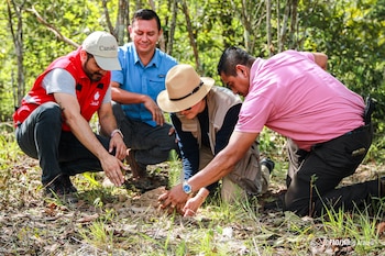 El sector del Río Sapo, en Arambala, Morazán, es uno de los focos del proyecto CORDEM por su valor ambiental y su biodiversidad./ (FAO El Salvador)