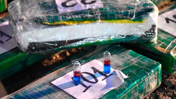 La cocaína secuestrada en Salta