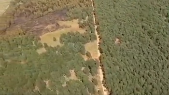 El Infoca da por extinguido el incendio forestal declarado en un paraje de Gibraleón