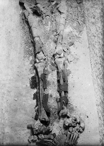 Primer plano de dos piernas y pies de esqueleto humano con huesos visibles, rodeados de tierra y fragmentos alargados. Imagen en blanco y negro