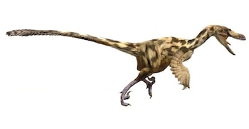 Recreación de dromeosáurido, que vivió