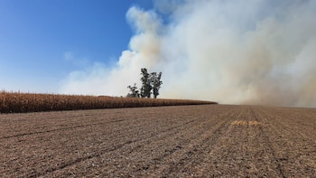 Dirigente de una entidad ruralista