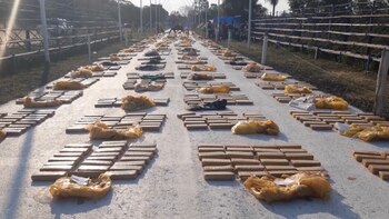 La marihuana secuestrada.