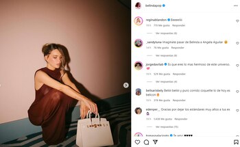 La cantante usó un bolso