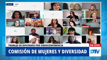 El Congreso debate una ley