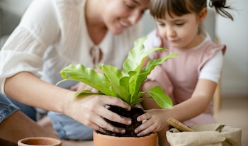 Día Internacional de la Madre Tierra - Madre Tierra – Perú – noticias – 19 abril
