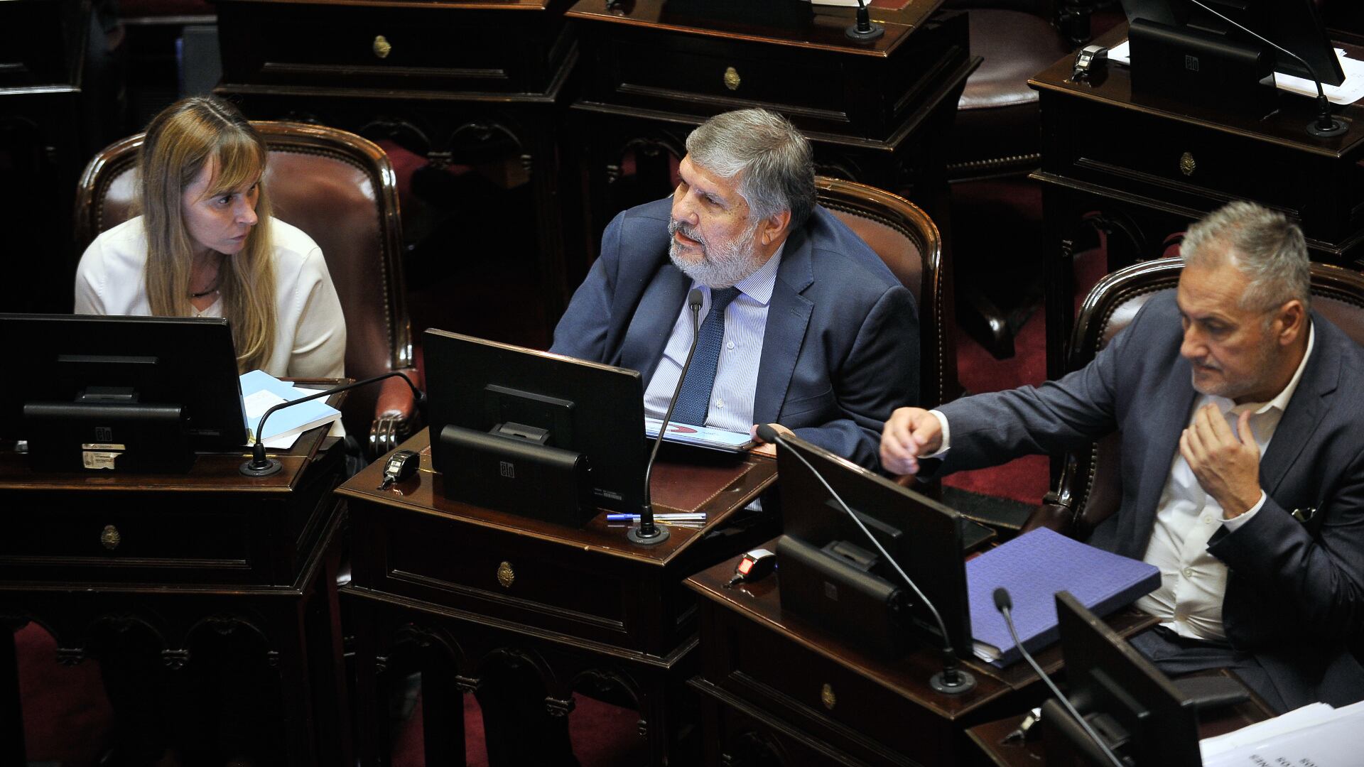 El jefe del Frente de Todos en la Cámara alta, José Mayans