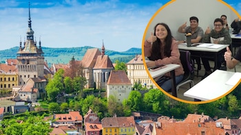 Las áreas de estudio que