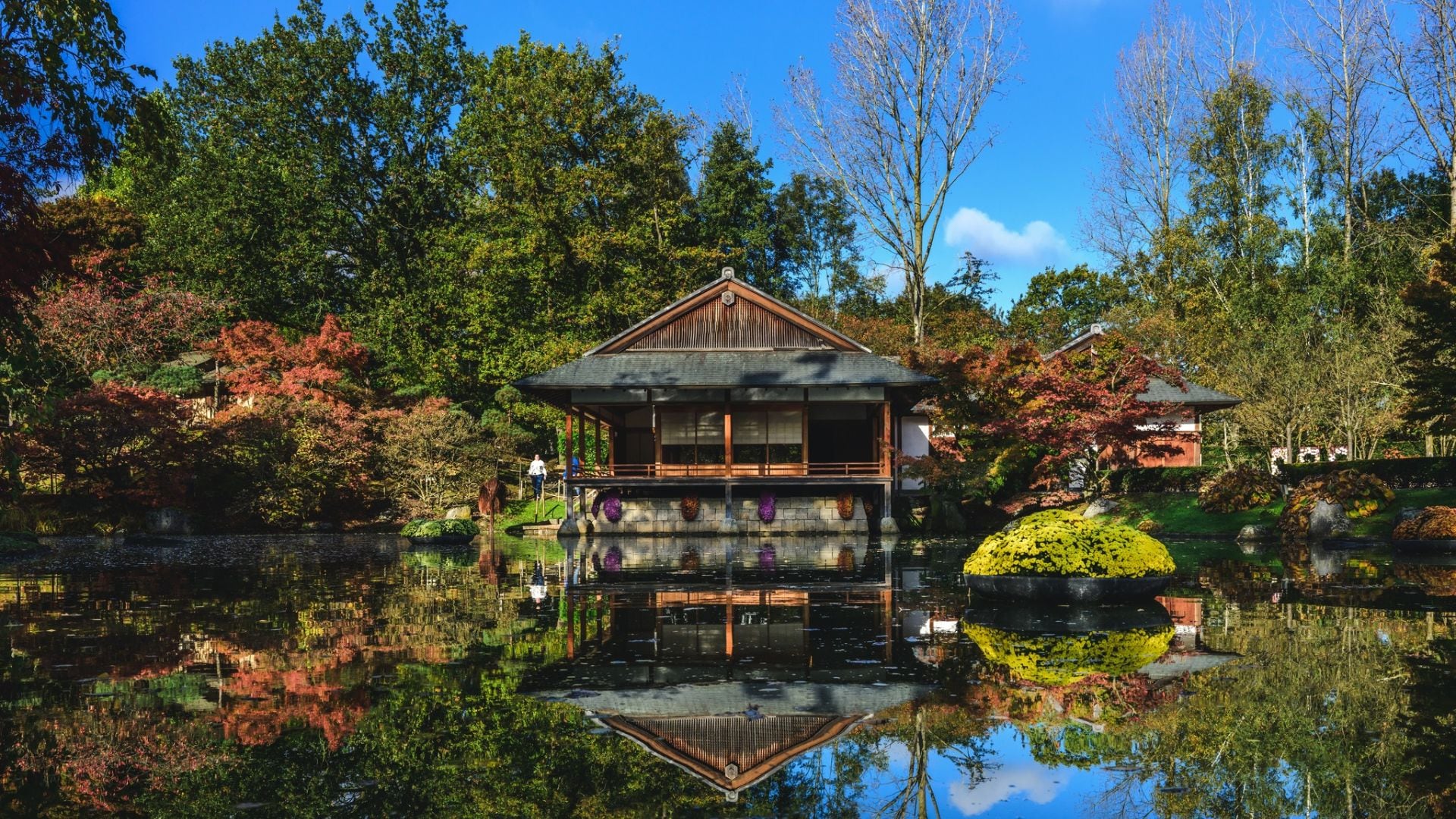 A una hora de Bruselas, la cultura belga y la nipona se fusionan en un paraje natural de ensueño. / Japanse tuin Hasselt
