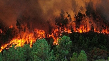 Honduras registra 763 incendios estructurales y Bomberos en alerta por el impacto de la sequía en el abastecimiento de agua