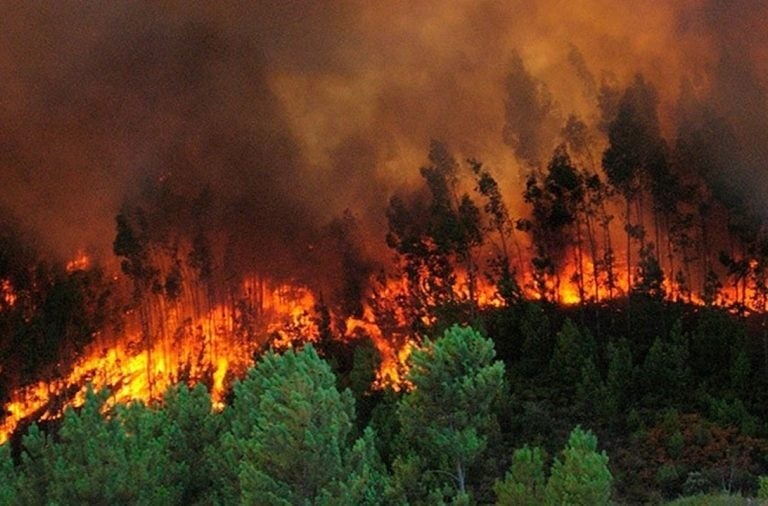 Las altas temperaturas han favorecido la propagación de incendios en varias regiones del país. (Foto: Bomberos Honduras)