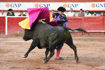 Miles de hidalguenses pidieron a las autoridades frenar con estos espectáculos por considerarlos crueldad animal. (EFE/Tadeo Alcina)