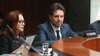 María Fernanda Espinosa y Guillaume
