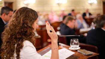 El Senado de Santa Fe sanciona su ley de inteligencia